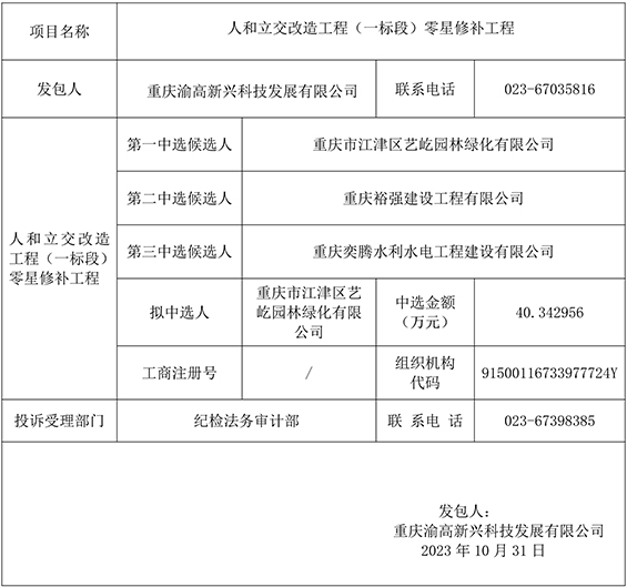 人和立交改造工程（一标段）零星修补工程 竞争性比选结果公示gw.jpg